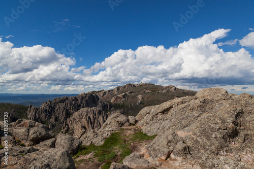 Custer State Park Landscape View