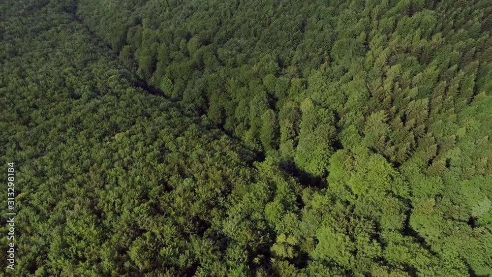 Beautiful forest in Poland, Beskid mountain ranges in the Carpathians. Aerial, drone footage. Beautiful forest in Poland, Beskid mountain ranges in the Carpathians. Aerial, drone footage.