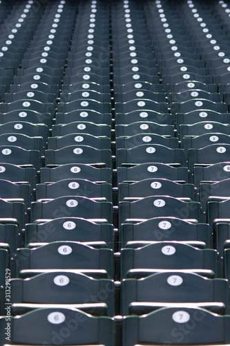 Seats in a baseball stadium