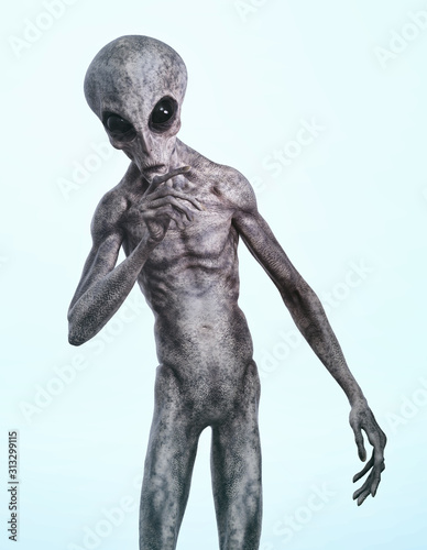 alien or extraterrestrial portrait - isolated