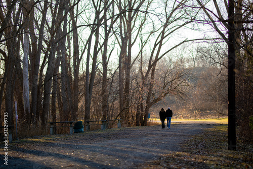 Unidentified Couple Walking Path in Forest Away From Viewer