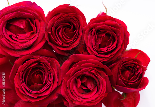 Close-up shot of roses