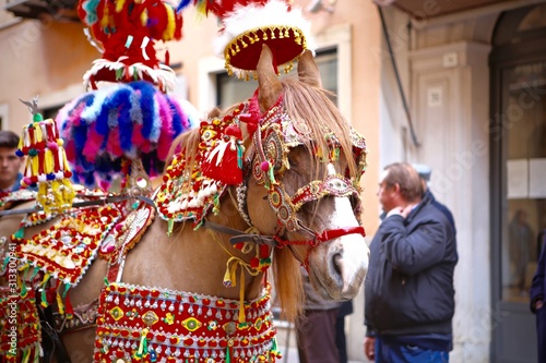 Carro Siciliano in Sfilata per Mandorlo in Fiore ad Agrigento, Sicilia photo