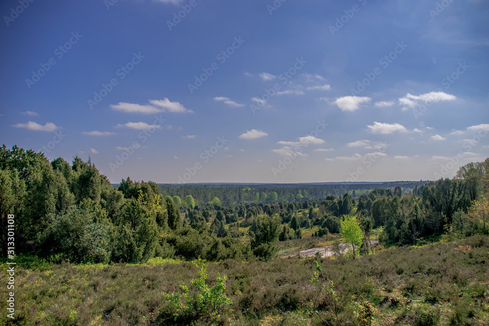 Obraz premium Döhle ,Wilsede