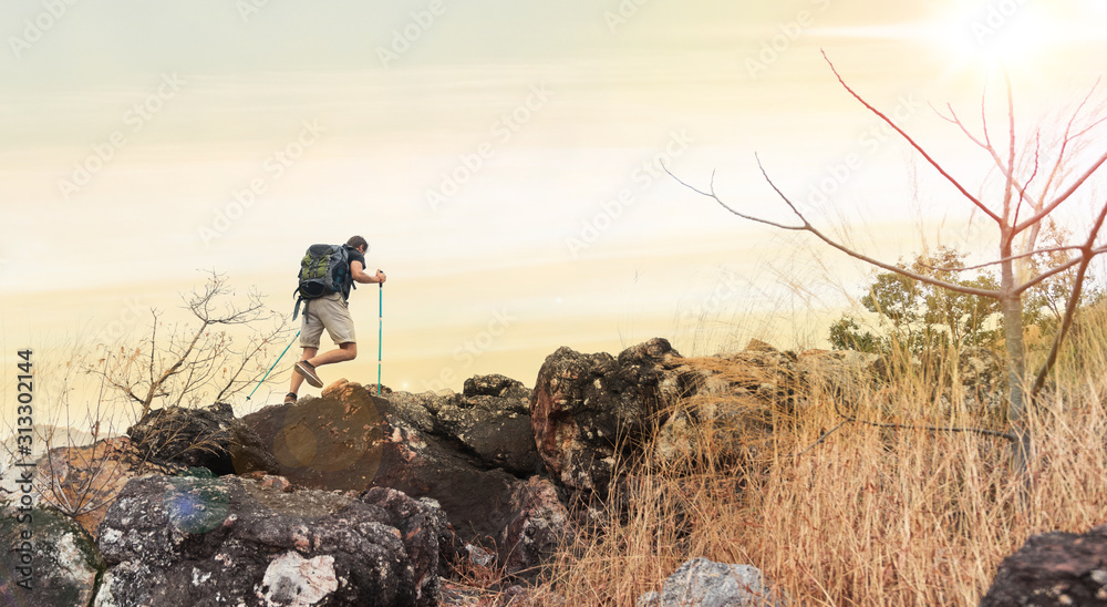 Rear view of man trekking with trekking poles and backpack walking on rock to the peak. Landscape trail travel concept. - obrazy, fototapety, plakaty 
