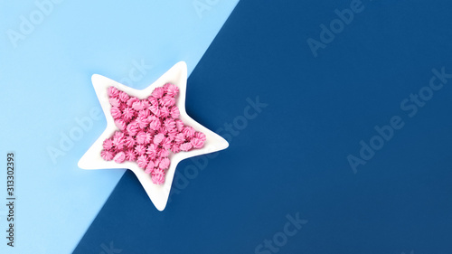 Shades of trending blue color with white star shaped bowl and pink sweets cake sprinkles on monochrome background. flat lay with copy space. Color swatch mockup