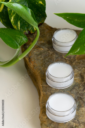 Organic body/face creams, natural wellness beauty products