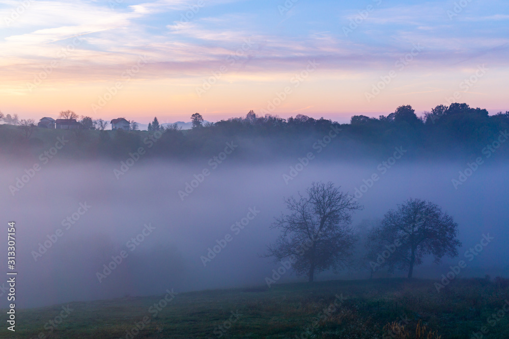 sunrise over the fog and forest