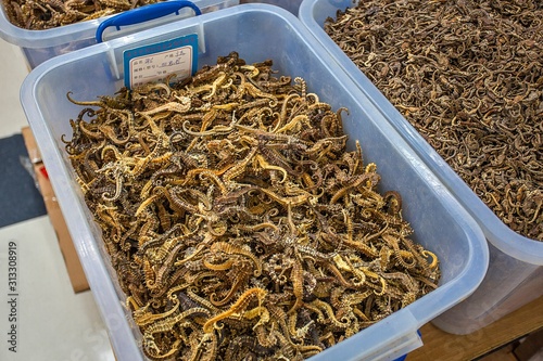 Chinese medicine market Qingping, Guangzhou, China photo