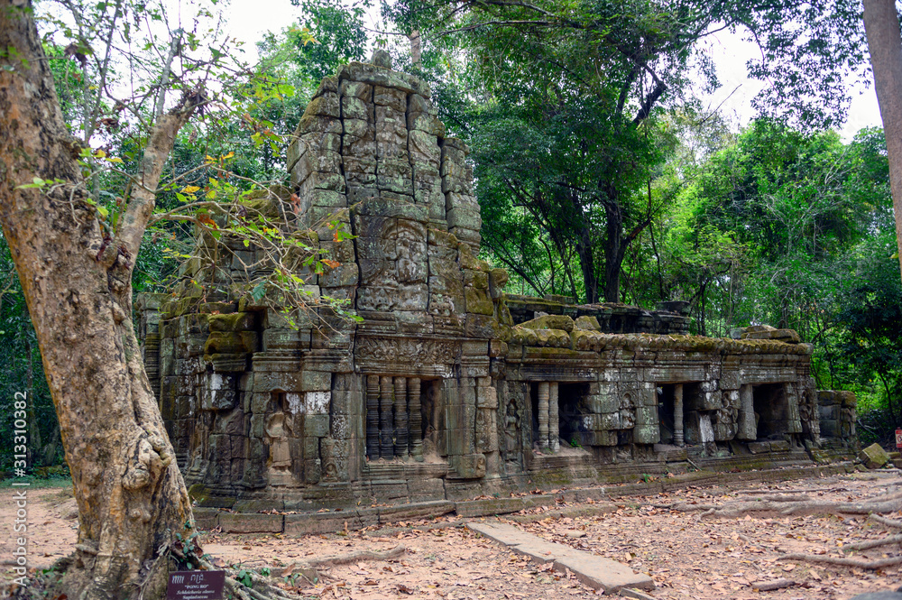 Naklejka premium Temple à Ta Prom, Angkor, Cambodge