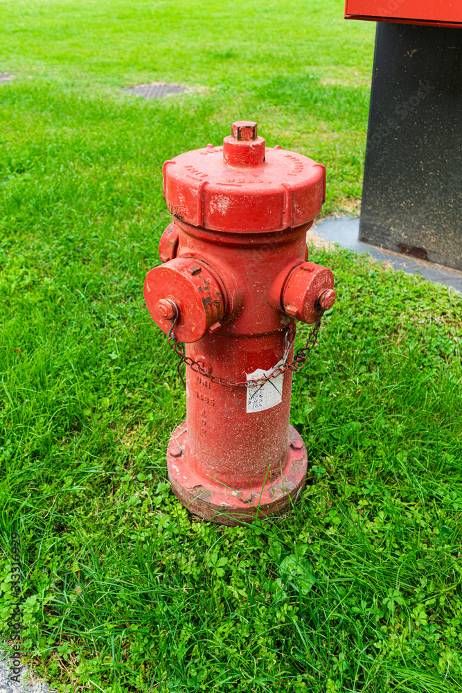 Fire hydrant in the green grass