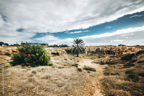 Fotografia beautiful guarded park on the island of cyprus