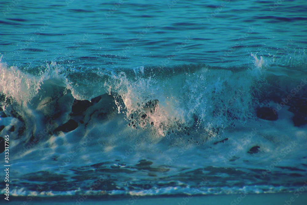 Obraz premium dolphins swimming in the sea