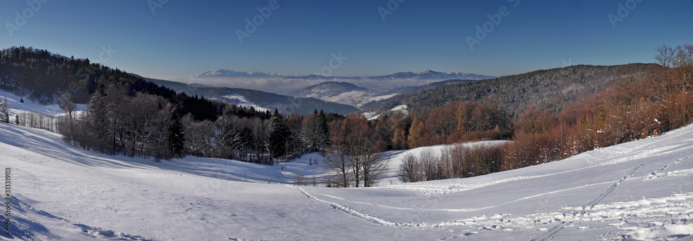 Panorama na Tatry zpod Bacóki pod Wierchomlą - Beskid Sądecki - Dwie doliny