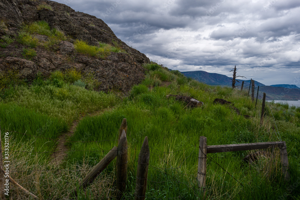 Countryside Fence