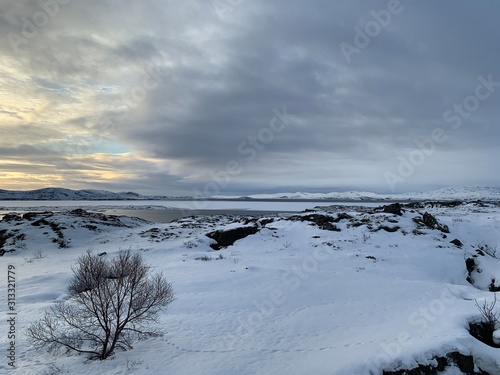 winter landscape