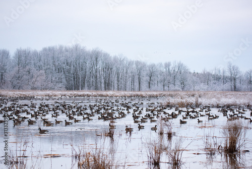 Winter Landscapes in Canada © John