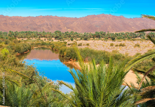 A view of the landscape of the river Draa, Morocco. photo