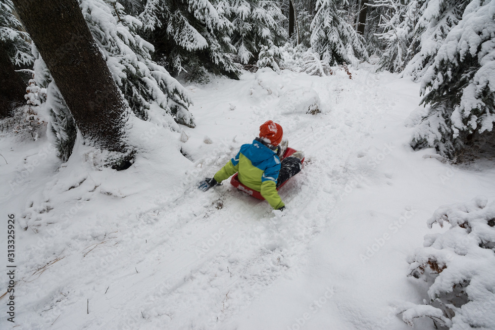 children riding on sled in snowy forest