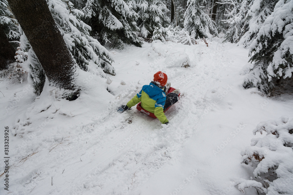 children riding on sled in snowy forest children riding on sled in snowy forest