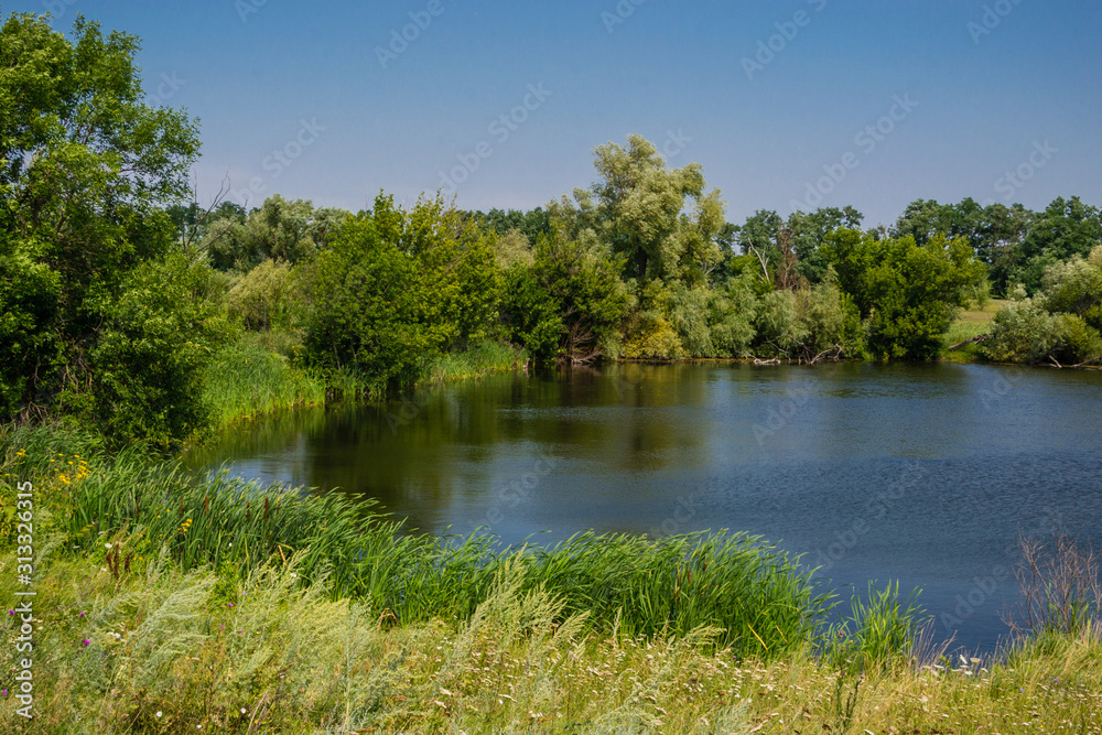 Fototapeta premium lake in the forest