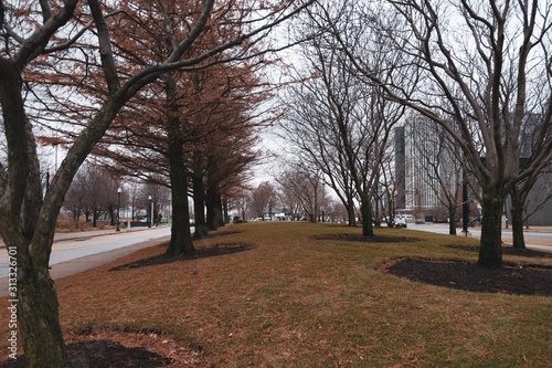 autumn in the park on chicago 