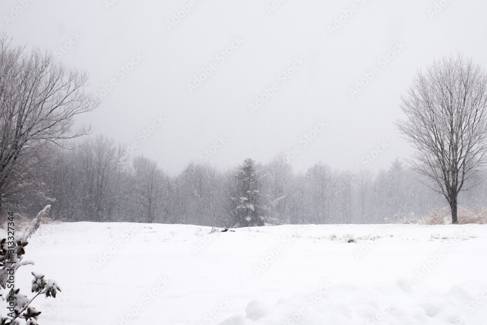 Obraz premium Winter 11