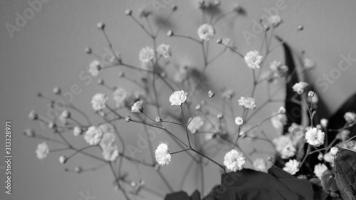 abstract background with flowers