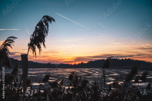 Dramatic sky during cloudy sunset over frozen swamp. Swamp plants twigs against evening sky.