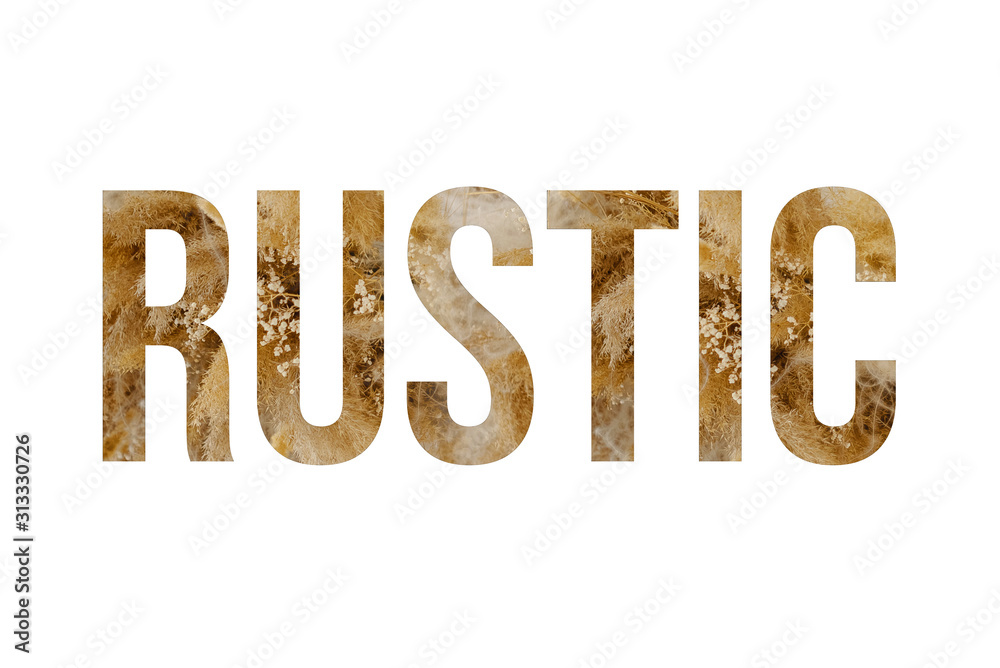 Rustic font word RUSTIC made of reeds on white background with paper cut shape of letter. Collection of flora font for your unique Rustic font word RUSTIC made of reeds on white background with paper cut shape of letter. Collection of flora font for your unique