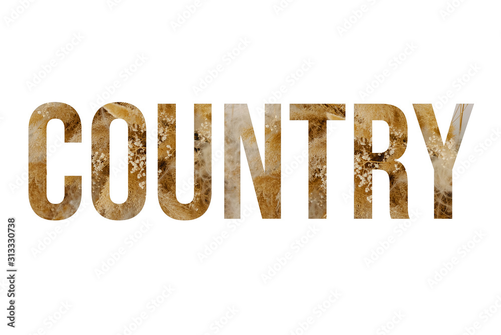 Rustic font word COUNTRY made of reeds on white background with paper cut shape of letter. Collection of flora font for your unique decoration in summer Rustic font word COUNTRY made of reeds on white background with paper cut shape of letter. Collection of flora font for your unique decoration in summer