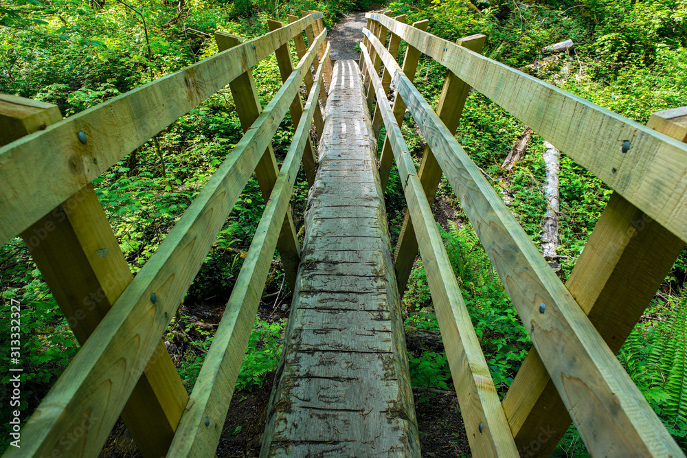 A Narrow Wood Footbridge on a Hiking Trail Near Squak Mountain, Washington, USA A Narrow Wood Footbridge on a Hiking Trail Near Squak Mountain, Washington, USA