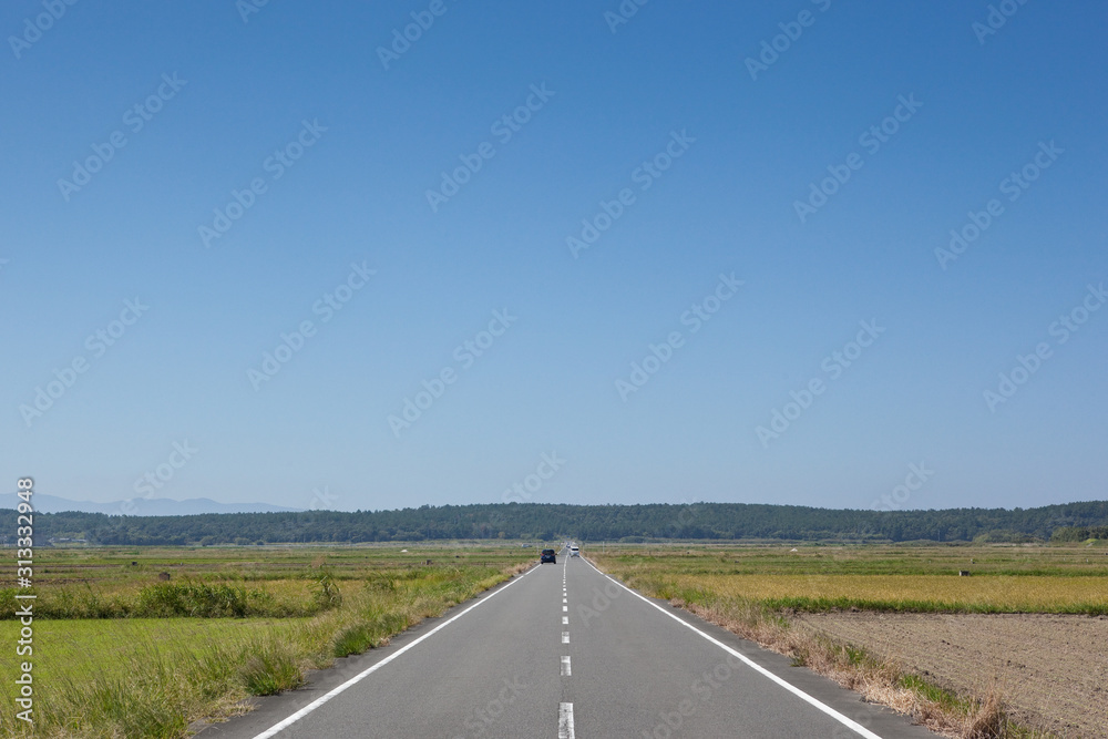 Fototapeta premium 田舎の真っ直ぐな道路 