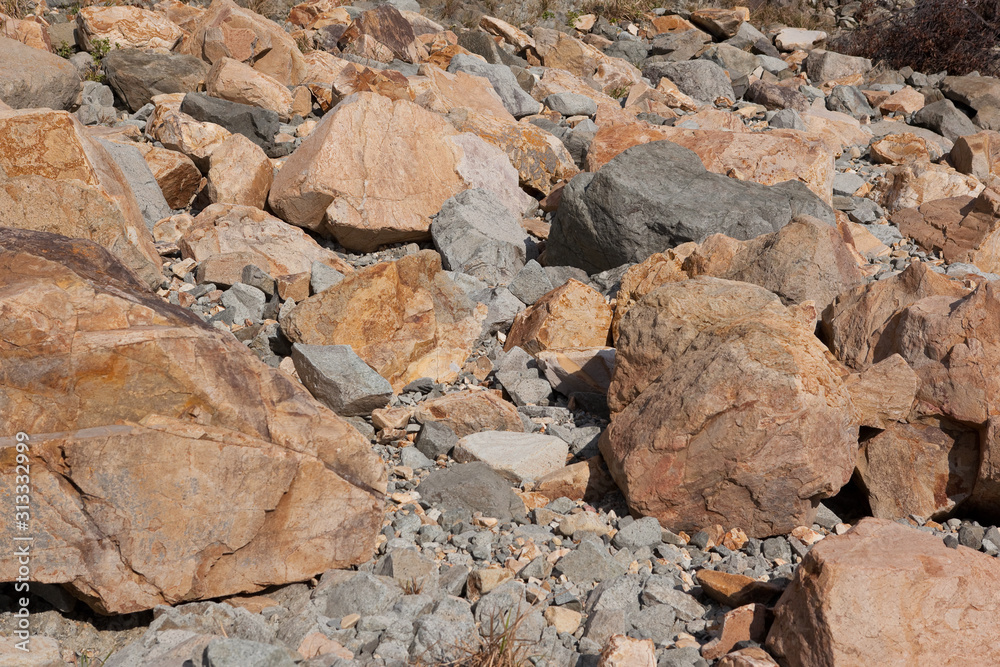 野間池海岸の岩場	