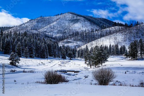 Great view from Jemez Cattle Wall, Valles Caldera, New Mexico, United States