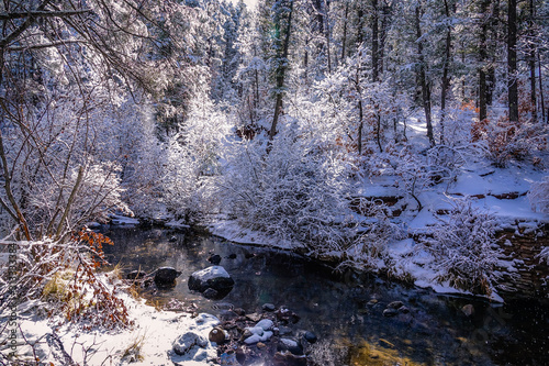 Lovely San Antonio Creek view, Valles Caldera, New Mexico, United States