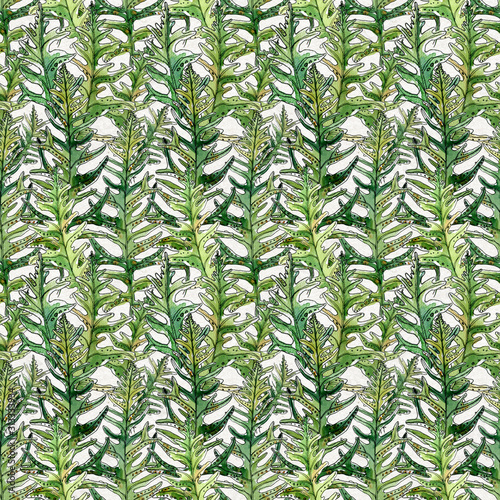 Seamless pattern of hand-drawn watercolor sketch elements fern and grass. Evergreen woodland plants. Simple natiral ornament for texil, wrapping paper, decor photo