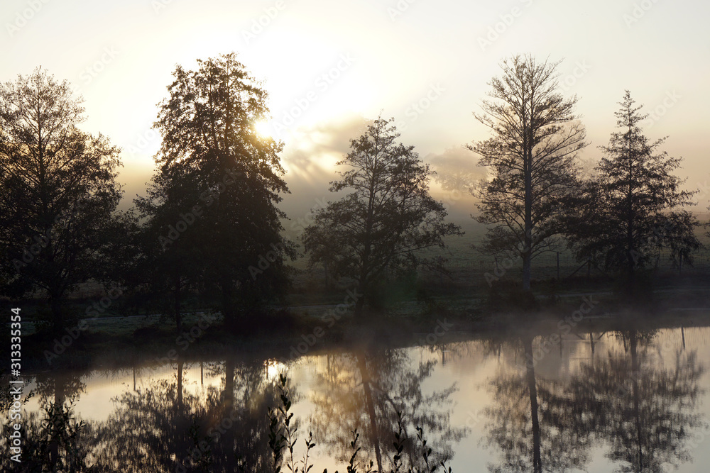 riverbank with trees in afternoon fog in autumn riverbank with trees in afternoon fog in autumn
