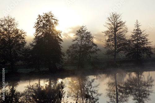 riverbank with trees in afternoon fog in autumn