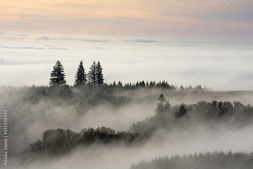 A foggy sunrise reveals tips of trees and hills with soft color overhead. A foggy sunrise reveals tips of trees and hills with soft color overhead.