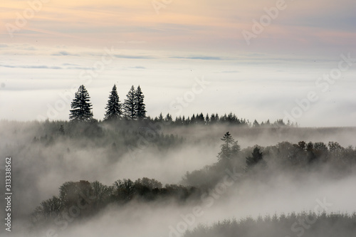 A foggy sunrise reveals tips of trees and hills with soft color overhead.