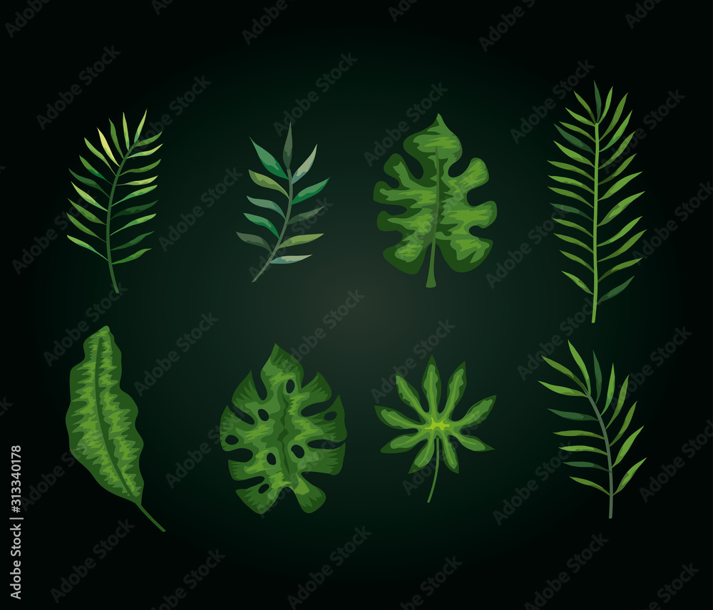 set of branches with leafs tropicals vector illustration design set of branches with leafs tropicals vector illustration design