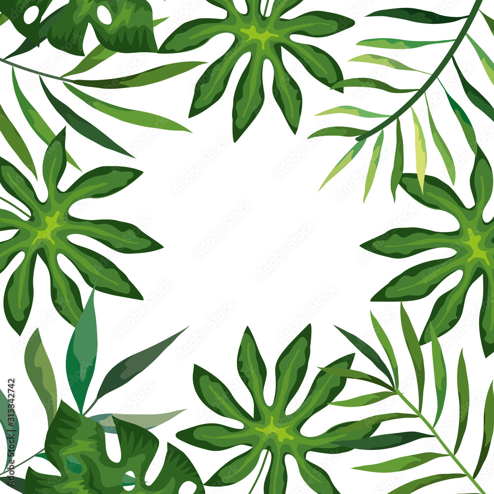 frame with branches and leafs tropicals vector illustration design