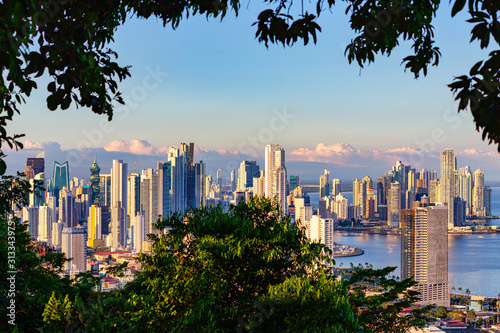 View of the skyline of Panama City framed by tropical rain forest