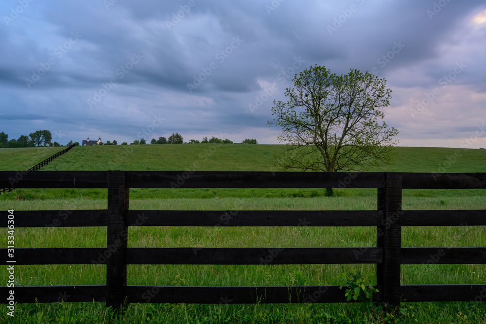 Horse Fence and Gray Skies