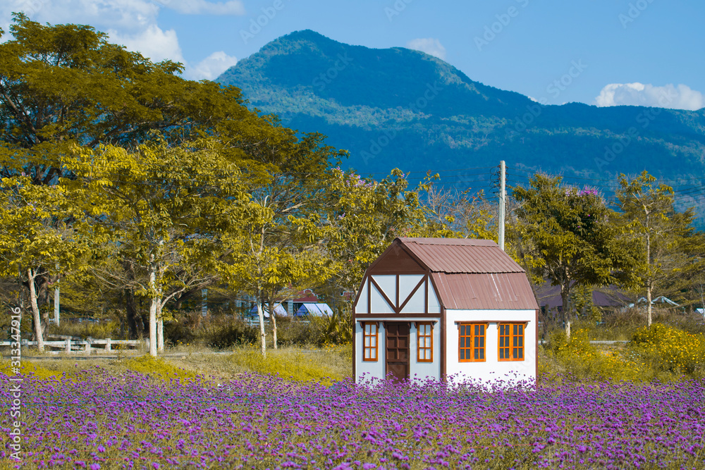 Obraz Mini stajnia dom z pięknym krajobrazowym widokiem w Verbena plantaci segregował w Prachinburi, Tajlandia.