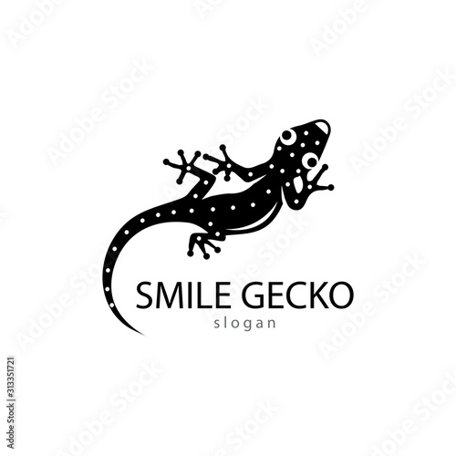 Lizard Chameleon Gecko animall logo and symbol vector illustration photo