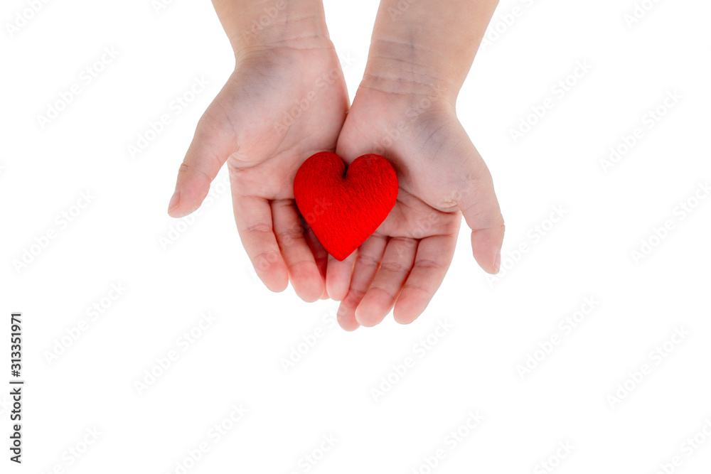 Obraz premium Love concept: kid's hand hold a red heart on white background and clipping path