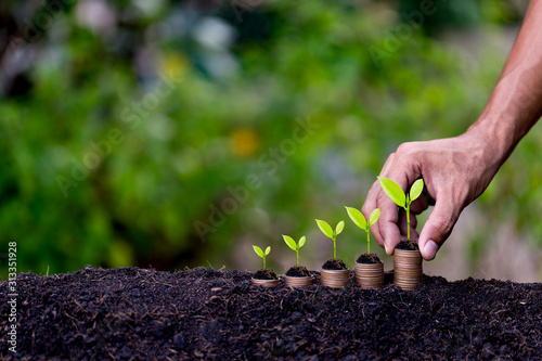 Hand putting money coins like growing graph,plant sprouting from the ground with green background.