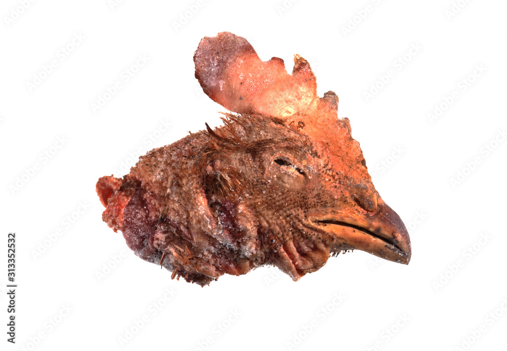 frozen chicken head isolated on white background